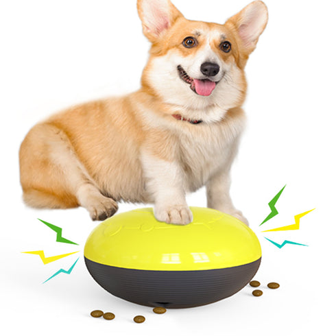 Squeaky Bite-Resistant Puppy Supplies Dog Float Toy